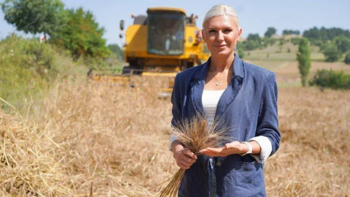 Geçen yıl deneme amaçlı toprakla buluşan karakılçık buğdayının hasadı yapıldı