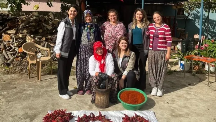 Geleneksel yöntemlerle pul biber üretimi