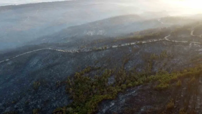 Gelibolu'da büyük ölçüde kontrol altına alınan orman yangınında yanan yerler dronla görüntülendi