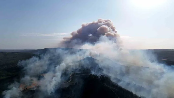 Gelibolu'da çıkan orman yangını dron ile görüntülendi