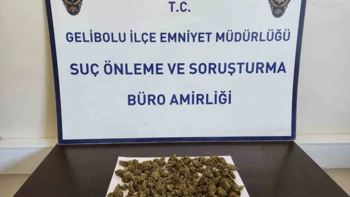 Gelibolu'da sırt çantasından 90 gram skunk çıktı: 2 gözaltı