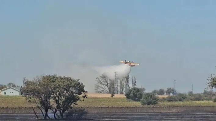 Gelibolu'da tarım arazisinde çıkan yangın kontrol altına alındı