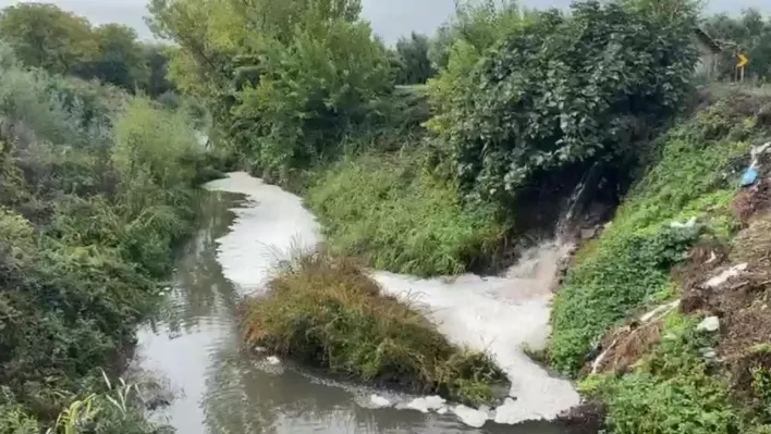 Gemlik Körfezi'nde kirlilik endişeye yolaçıyor