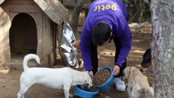 Getir'den bu yıl da 1 milyon kap mama desteği