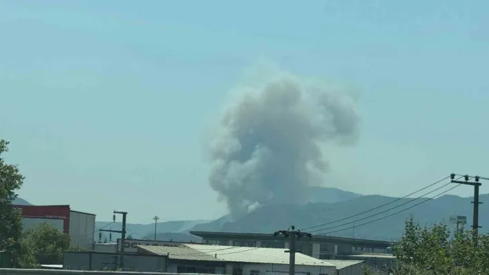 Geyve'de ikinci orman yangını çıktı