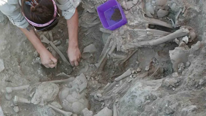 Gökçeada Uğurlu-Zeytinlik kazılarında tarım ve hayvancılığa dayalı ilk köy yerleşimi bulundu