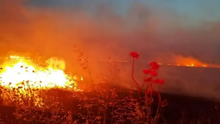 Gönen'de anız yangını, 60 dönüm yer kül oldu