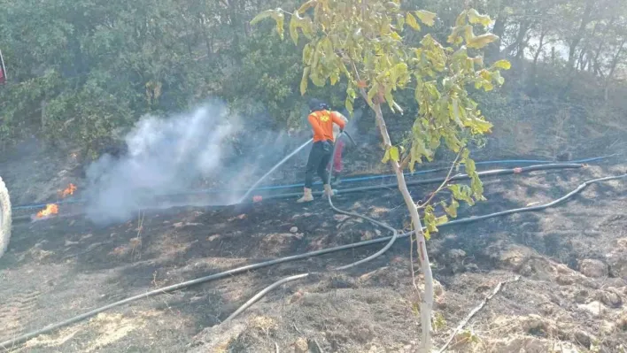 Gönen'de ormanlık alanda çıkan yangın söndürüldü