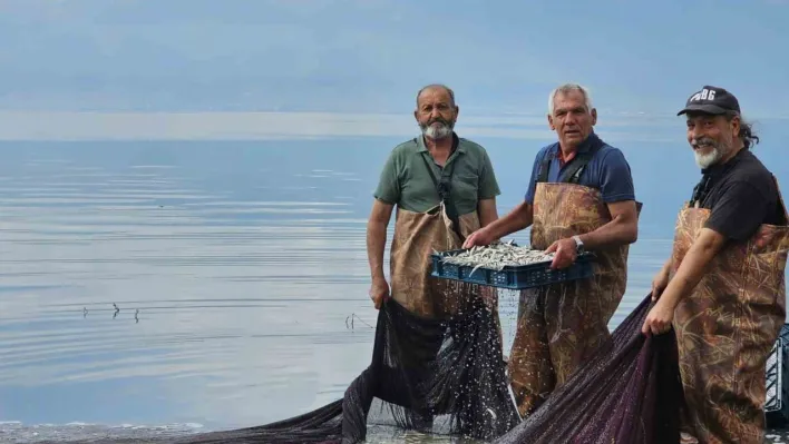 Gümüş balığının ihracat serüveni başladı