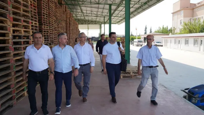 Gürsu'da yeşil dönüşüm başladı