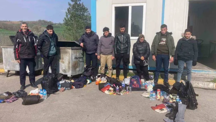 Hafif ticari araçtan 1'i kadın 8 kaçak göçmen çıktı