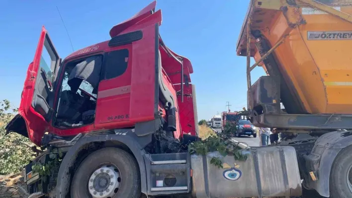 Hafriyat kamyonu ağaca çarptı: 2 yaralı