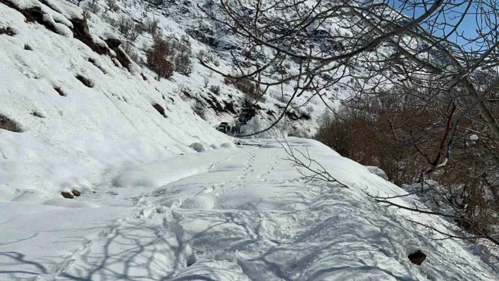 Hakkari'de 13 yerleşim yerinin yolu kapandı