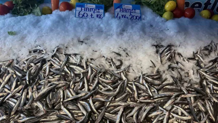 Hamsi fiyatı yüzleri güldürdü, kilosu 60 liraya düştü