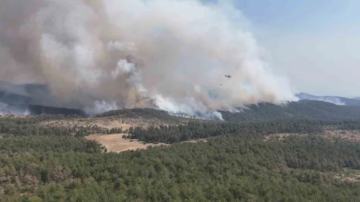 Harmancık Meyrandağı'ndaki yangın dronla böyle görüntülendi