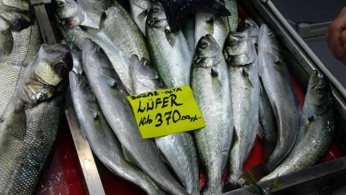 Havalar geç soğudu, az çıkan lüfer ve çinekopun fiyatı arttı