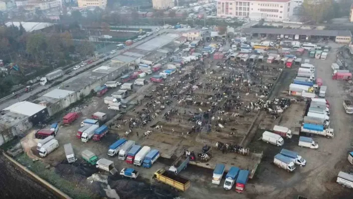 Havsa Canlı Hayvan Pazarı kapatıldı