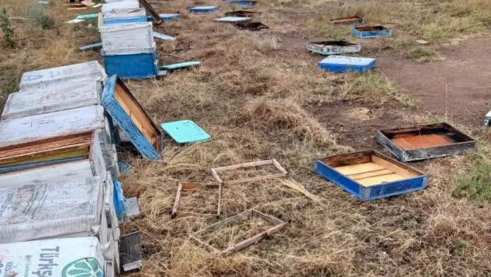 Hayrabolu'da hortum, arı kovanlarına zarar verdi: 163 kovan devrildi