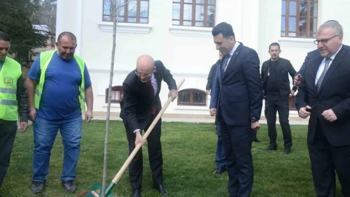 Hazine ve Maliye Bakanı Mehmet Şimşek Bilecik'te çınar fidesi dikti