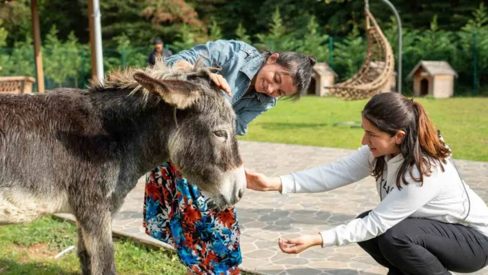 Hepsiburada, Hayvanları Koruma Günü'nde hayvanları unutmadı