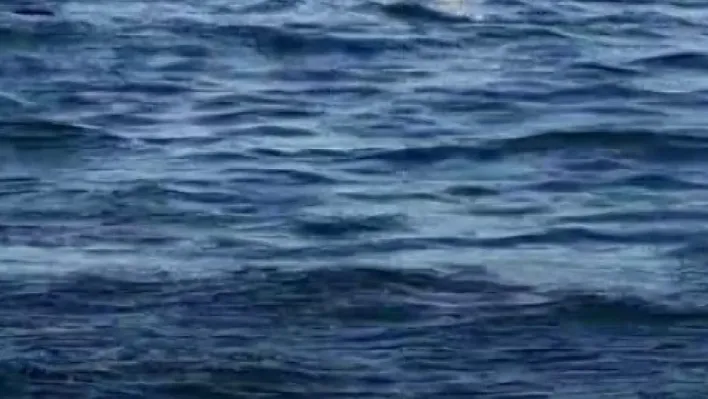 Heybeliada açıklarında motoryatın çarptığı tekne battı: 7 kişi kurtarıldı