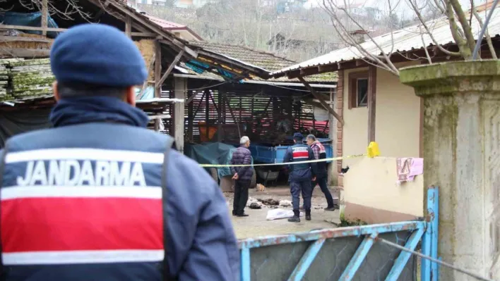 Horozlarının komşuya verildiğini duyunca dehşet saçmıştı, serbest kaldı