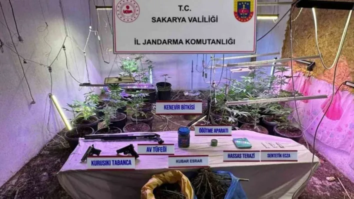 İklimlendirme sistemi ile kapalı ortamda kenevir yetiştiren şahıs tutuklandı