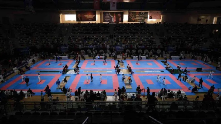 İller Arası Karate Ligi'nin üçüncü ayağı tamamlandı