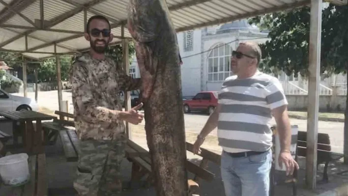 İpsala'da ağlara 80 kilo ağırlığında yayın balığı takıldı