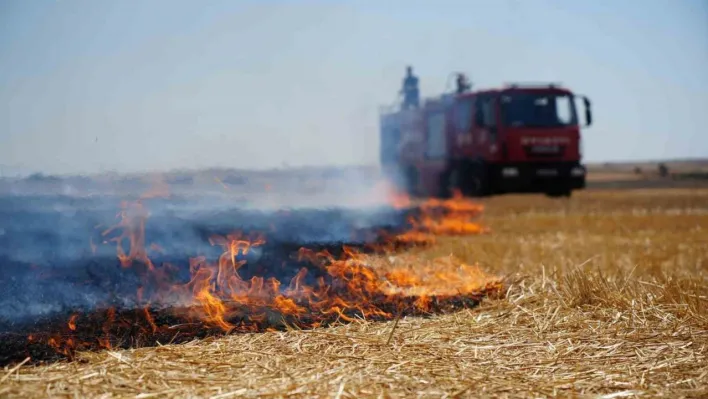 İpsala Kaymakamlığı'ndan anız yakanlara uyarı: 'Ceza kesmekten yorulduk, bu görüntüler İpsala'mıza yakışmıyor'