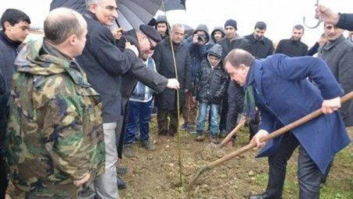 Işıklar Semerkantlılarla fidan dikti