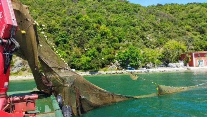 İstanbul Boğazı'nda balık avlamak için kaçak dalyan kurdular