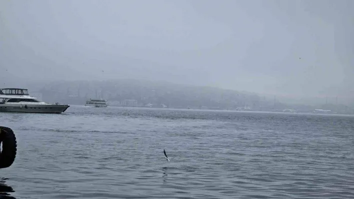 İstanbul Boğazı'nda yoğun sis nedeniyle gemi trafiği askıya alındı