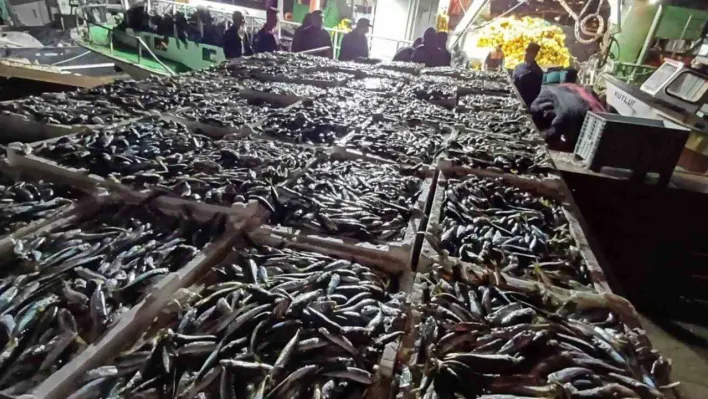 İstanbul'da kaçak avlanmış 8 ton istavrit balığı ele geçirildi