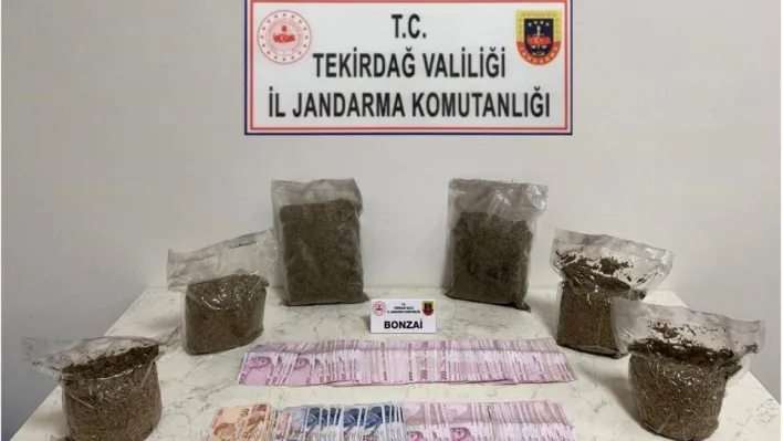 İstanbul'dan gelen 3 kilo bonzai şehre girmeden yakalandı