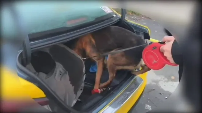 İstanbul'dan Sakarya'ya uyuşturucu getiren şüpheli tutuklandı