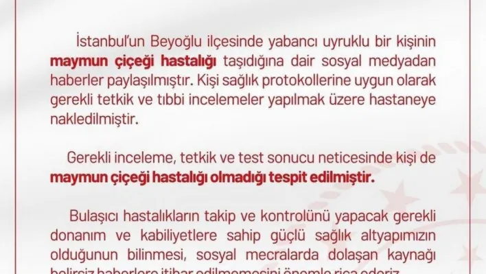 İstanbul İl Sağlık Müdürlüğü'nden 'İstanbul'da maymun çiçeği görüldü' iddialarına ilişkin açıklama