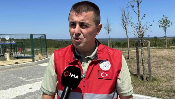 İstanbul Valiliği'nin talimatı sonrası Arnavutköy'de sahipsiz hayvanlar toplanmaya başlandı