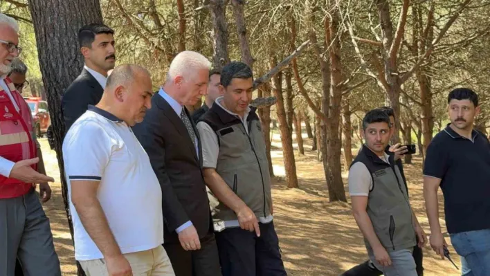 İstanbul Valisi Davut Gül, Sultangazi Kent Ormanı'nda incelemelerde bulundu: 'Yangın kontrol altına alındı'