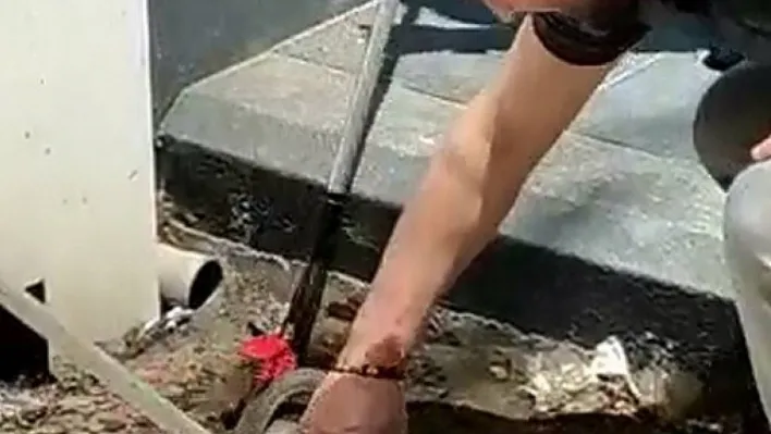İstasyondaki yılanı iş adamı böyle yakaladı
