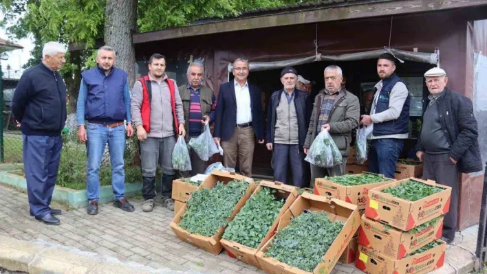 İzmit Belediyesi köylerde fide dağıtımına başladı