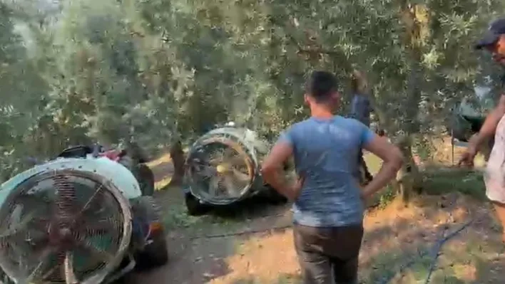 İznik'te çıkan yangın kontrol altına alındı