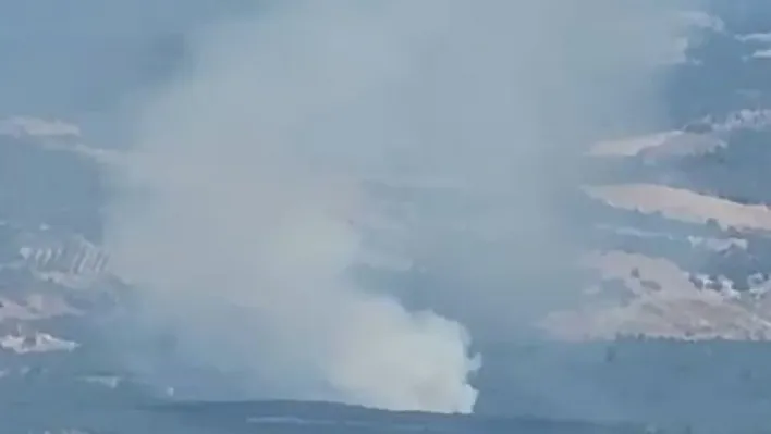 İznik'te orman yangını