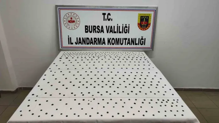 Jandarma'dan İznik'te tarihi operasyon