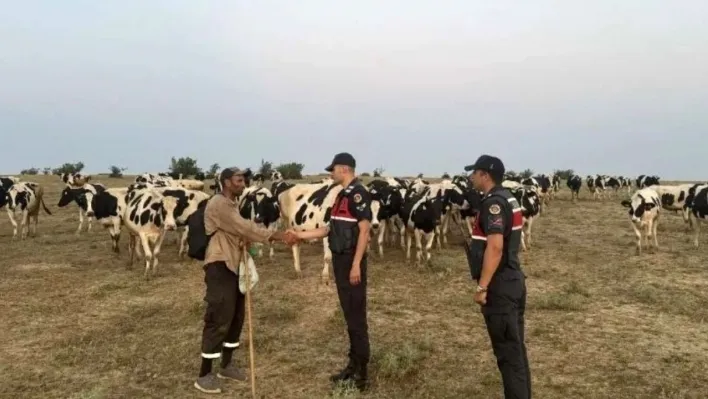 Jandarma ekipleri, kaybolan hayvanları dron ile bularak sahibine teslim etti