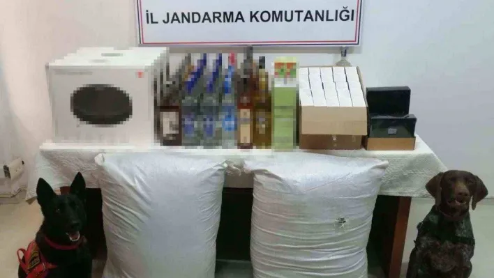 Jandarmadan kaçakçılık operasyonu