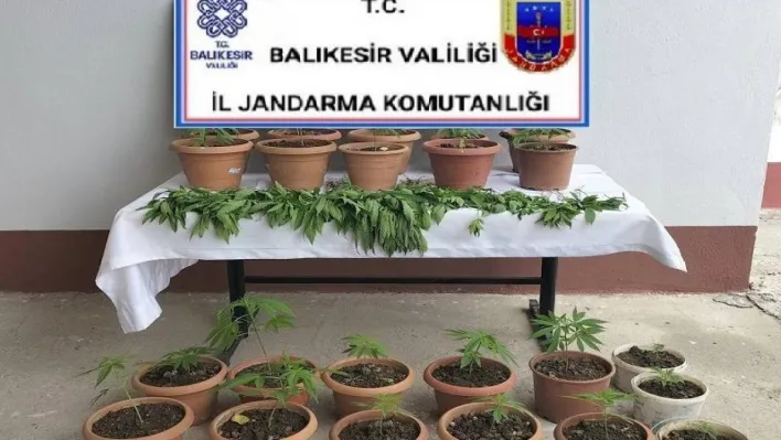 Jandarmadan Karesi'de uyuşturucu operasyonu