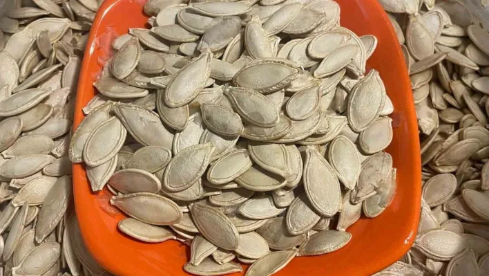 Kabak çekirdeğine 'Salmonella', zencefile 'Bacillus cereus' nasıl bulaşıyor