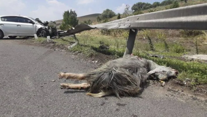 Kaçan kurbanlık trafik kazasına neden oldu: 1' i ağır 5 yaralı