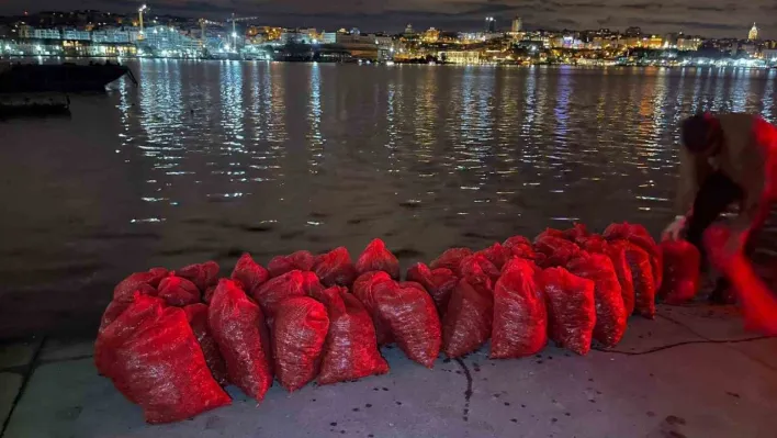 Kadıköy'de 1 ton kaçak midye ele geçirildi